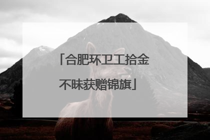 合肥环卫工拾金不昧获赠锦旗