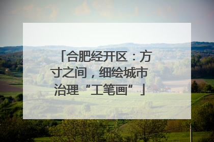 合肥经开区：方寸之间，细绘城市治理“工笔画”