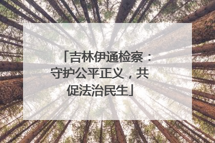 吉林伊通检察：守护公平正义，共促法治民生