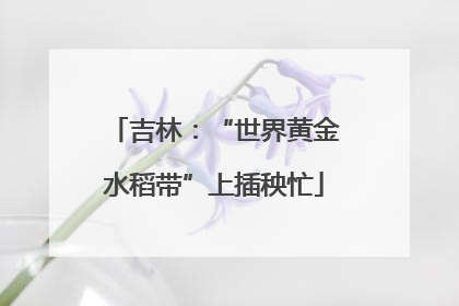 吉林：“世界黄金水稻带”上插秧忙