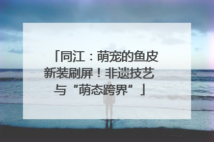 同江：萌宠的鱼皮新装刷屏！非遗技艺与“萌态跨界”