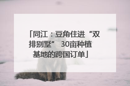 同江：豆角住进“双排别墅” 30亩种植基地的跨国订单