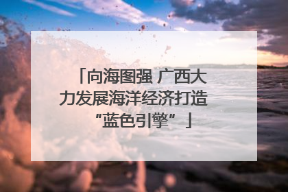 向海图强 广西大力发展海洋经济打造“蓝色引擎”