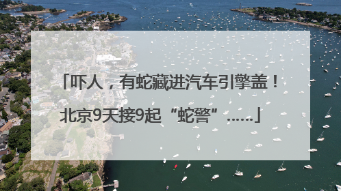 吓人，有蛇藏进汽车引擎盖！北京9天接9起“蛇警”……