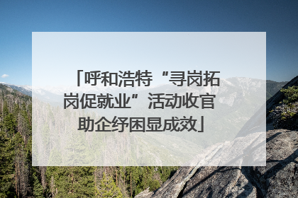 呼和浩特“寻岗拓岗促就业”活动收官 助企纾困显成效