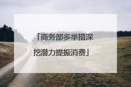 商务部多举措深挖潜力提振消费