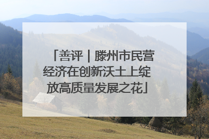 善评｜滕州市民营经济在创新沃土上绽放高质量发展之花
