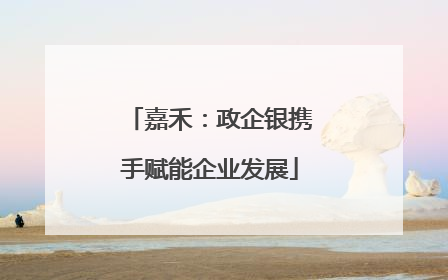 嘉禾：政企银携手赋能企业发展