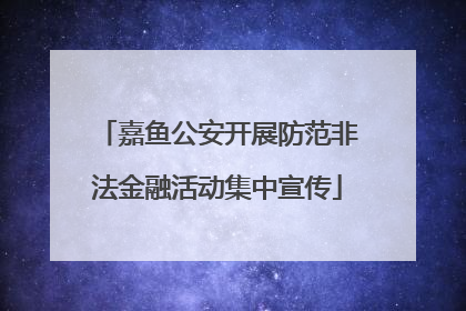 嘉鱼公安开展防范非法金融活动集中宣传