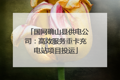 国网确山县供电公司：高效服务重卡充电站项目投运