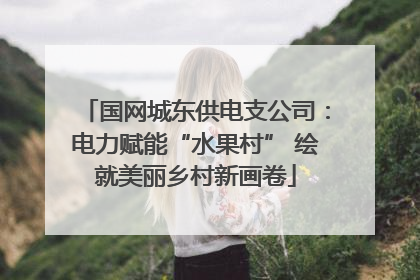 国网城东供电支公司：电力赋能“水果村” 绘就美丽乡村新画卷