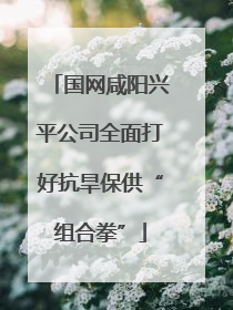 国网咸阳兴平公司全面打好抗旱保供“组合拳”