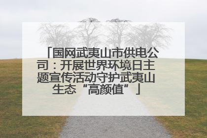 国网武夷山市供电公司：开展世界环境日主题宣传活动守护武夷山生态“高颜值”