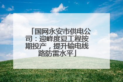 国网永安市供电公司：迎峰度夏工程按期投产，提升输电线路防雷水平