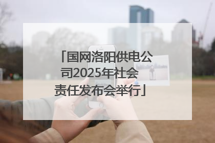 国网洛阳供电公司2025年社会责任发布会举行