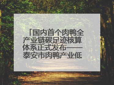国内首个肉鸭全产业链碳足迹核算体系正式发布——泰安市肉鸭产业低碳发展标准示范项目顺利通过验收