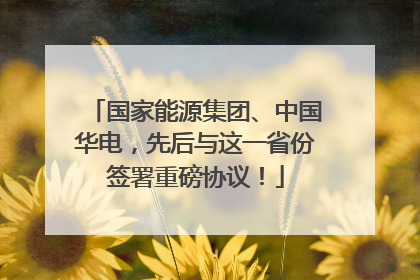 国家能源集团、中国华电，先后与这一省份签署重磅协议！