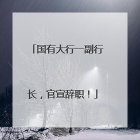 国有大行一副行长，官宣辞职！