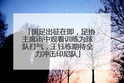 国足出征在即，足协主席雨中观看训练为球队打气，王钰栋期待全力冲击印尼队