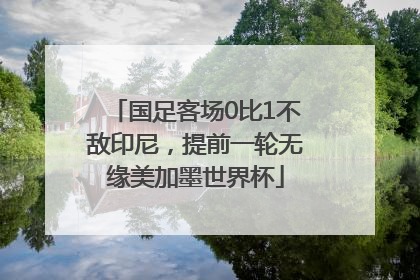 国足客场0比1不敌印尼，提前一轮无缘美加墨世界杯