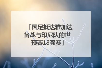 国足抵达雅加达备战与印尼队的世预赛18强赛