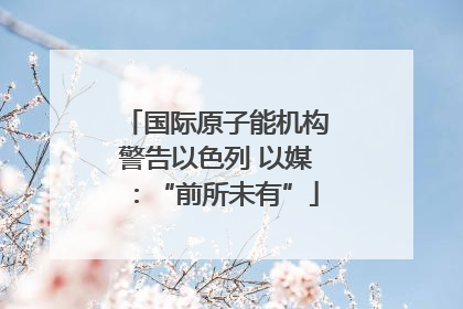 国际原子能机构警告以色列 以媒：“前所未有”