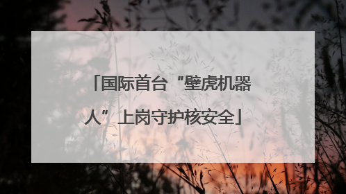 国际首台“壁虎机器人”上岗守护核安全