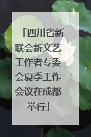 四川省新联会新文艺工作者专委会夏季工作会议在成都举行