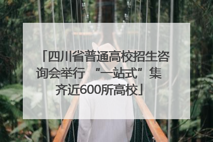 四川省普通高校招生咨询会举行 “一站式”集齐近600所高校