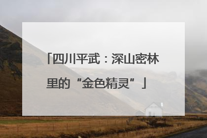 四川平武：深山密林里的“金色精灵”