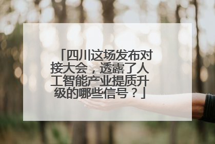 四川这场发布对接大会，透露了人工智能产业提质升级的哪些信号？