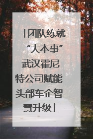 团队练就“大本事” 武汉霍尼特公司赋能头部车企智慧升级