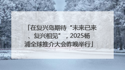 在复兴岛期待“未来已来、复兴相见”，2025杨浦全球推介大会昨晚举行