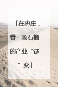 在枣庄，看一颗石榴的产业“链”变