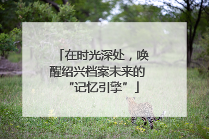 在时光深处，唤醒绍兴档案未来的“记忆引擎”