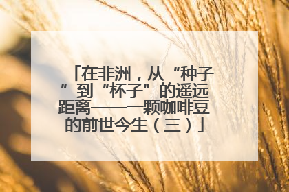 在非洲，从“种子”到“杯子”的遥远距离——一颗咖啡豆的前世今生（三）