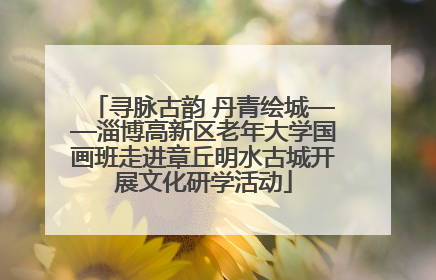 寻脉古韵 丹青绘城——淄博高新区老年大学国画班走进章丘明水古城开展文化研学活动