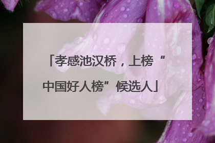 孝感池汉桥，上榜“中国好人榜”候选人