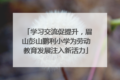 学习交流促提升，眉山彭山鹏利小学为劳动教育发展注入新活力