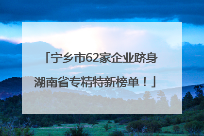 宁乡市62家企业跻身湖南省专精特新榜单！