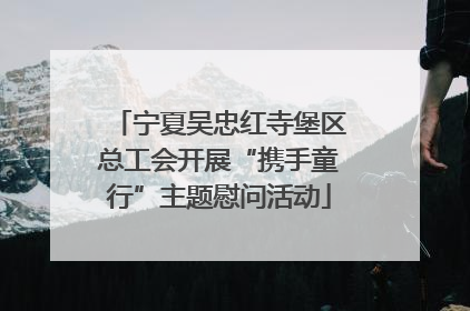 宁夏吴忠红寺堡区总工会开展“携手童行”主题慰问活动