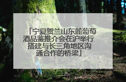 宁夏贺兰山东麓葡萄酒品鉴推介会在沪举行 搭建与长三角地区沟通合作的桥梁