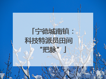 宁德城南镇：科技特派员田间“把脉”