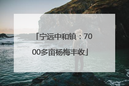 宁远中和镇：7000多亩杨梅丰收