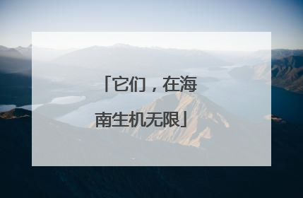 它们，在海南生机无限
