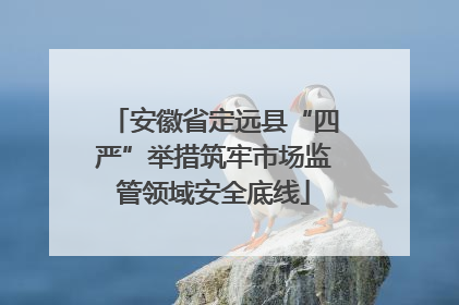 安徽省定远县“四严”举措筑牢市场监管领域安全底线