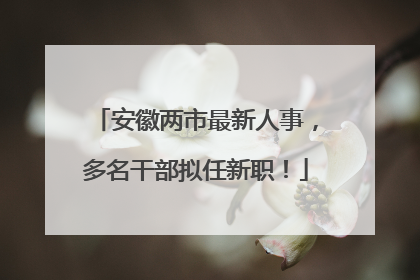 安徽两市最新人事，多名干部拟任新职！