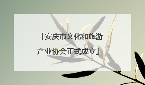 安庆市文化和旅游产业协会正式成立