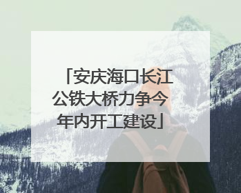 安庆海口长江公铁大桥力争今年内开工建设