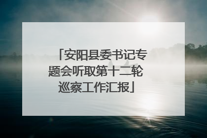 安阳县委书记专题会听取第十二轮巡察工作汇报